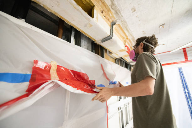 Best Emergency Mold Remediation  in Boulder, CO