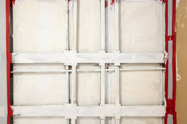 Best Biohazard Mold Removal  in Boulder, CO