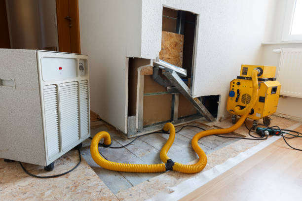 Best Biohazard Mold Removal  in Boulder, CO