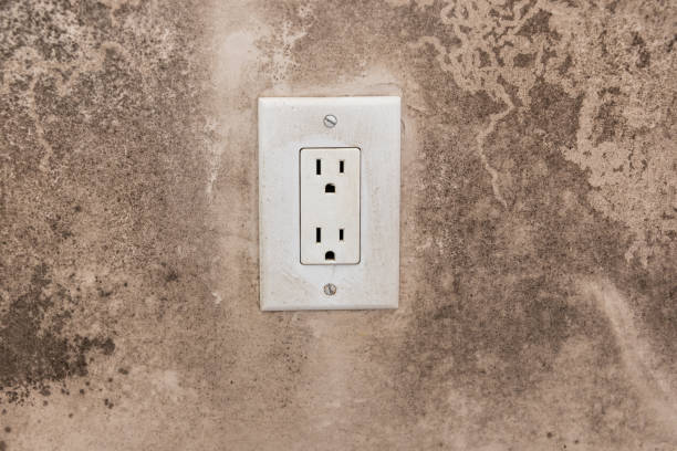 Best HVAC Mold Inspection and Cleaning  in Boulder, CO