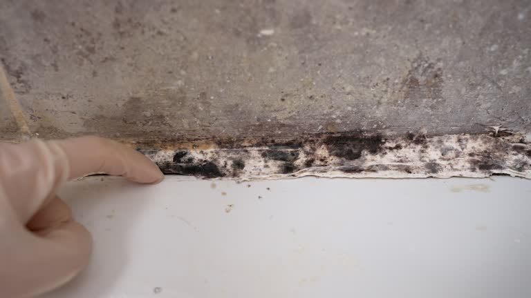 Best Indoor Air Quality Assessment  in Boulder, CO